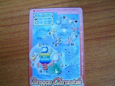 ドラゴンクロニクルのカード裏面